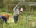 Sustainable Chulmleigh ... Working towards a greener future