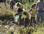 Sustainable Chulmleigh ... Working towards a greener future