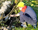 Sustainable Chulmleigh ... Working towards a greener future