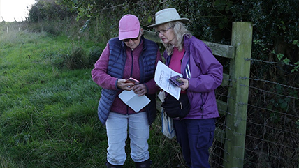 The Relaxed Sanctuary at Cadbury Cottage